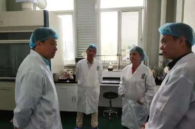 陜西唯一 西北大學(xué)鄉(xiāng)村振興典型案例榮獲全國省屬高校精準(zhǔn)幫扶典型項目